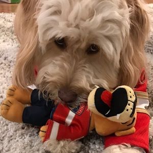 Meet your Posher, Steven